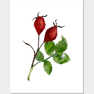 Rose hip Posters and Art